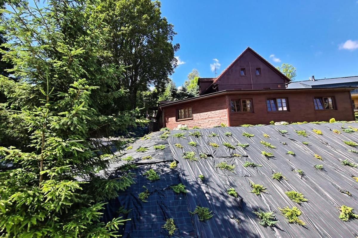 Penzion Harry Na Sjezdovce Krkonose Vysoke nad Jizerou Exterior photo