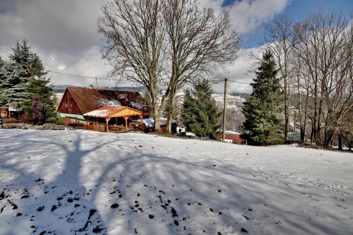 Penzion Harry Na Sjezdovce Krkonose Vysoke nad Jizerou Exterior photo